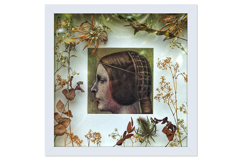 La bella principessa.